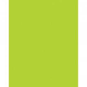 Neon Coated Poster Board, Neon Lime, 22" x 28", 25 Sheets