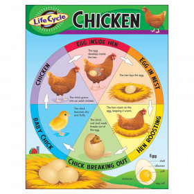 Life Cycle of a Chicken Learning Chart, 17" x 22"