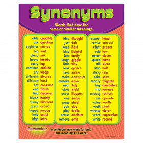 Synonyms Learning Chart, 17" x 22"