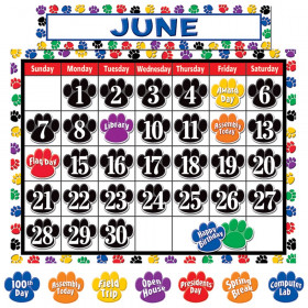 Colorful Paw Prints Calendar Set