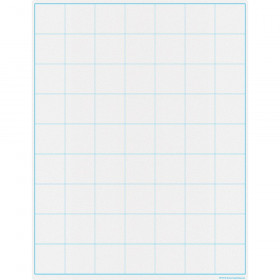 Graphing Grid Large Squares Write-on/Wipe-off Chart