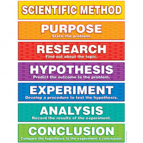Scientific Method Friendly Chart Notes