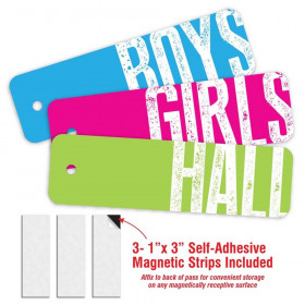 Big Type Design- 3 Plastic Passes in each pack: 1-Boy, 1- Girl, 1- Hall