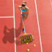EZ Roller Tennis Ball Collector