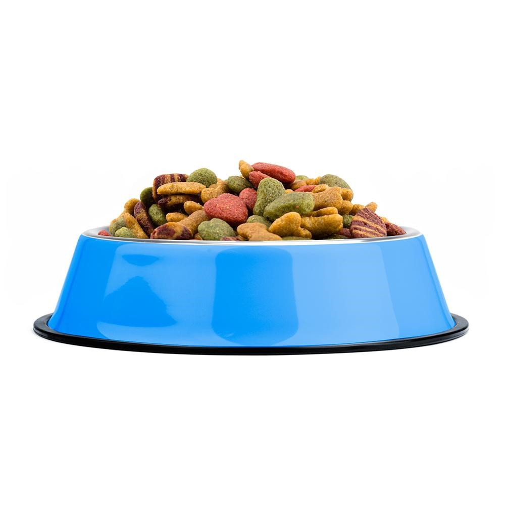 8oz. Blue Stainless Steel Dog Bowl