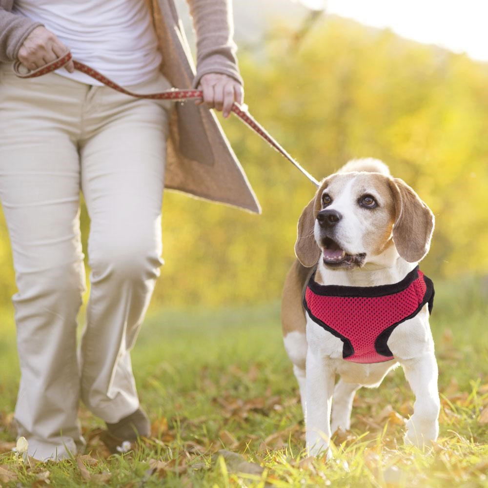 Extra Small Red Soft'n'Safe Dog Harness