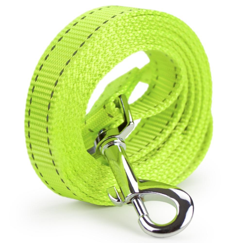 Small 6-foot Reflective Nylon Safety Leash