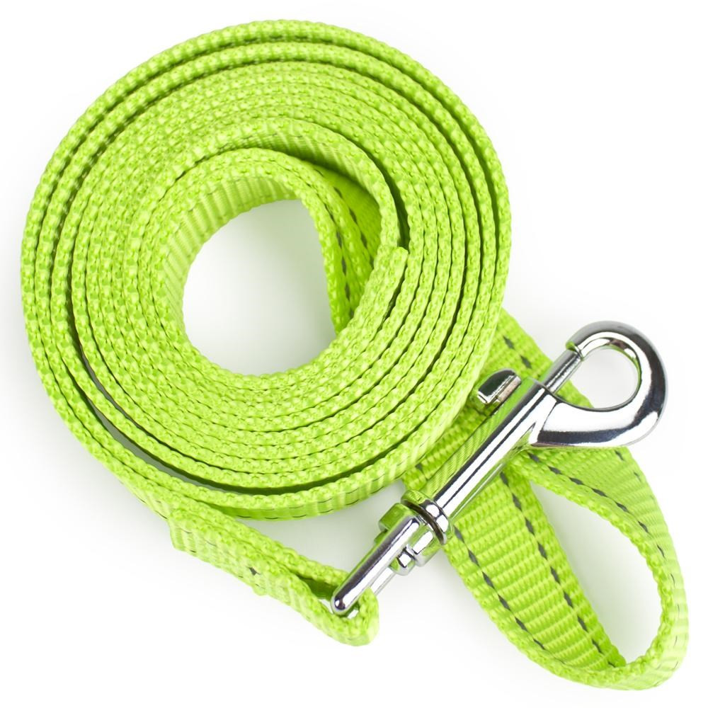 Small 6-foot Reflective Nylon Safety Leash