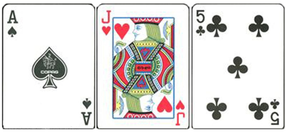 Copag Plastic Cards Leather Case Set Master Poker Regular