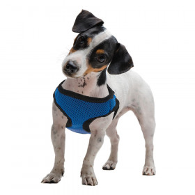 Extra Small Blue Soft'n'Safe Dog Harness