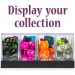 Set of 7 Polyhedral Dice, Ambrosia